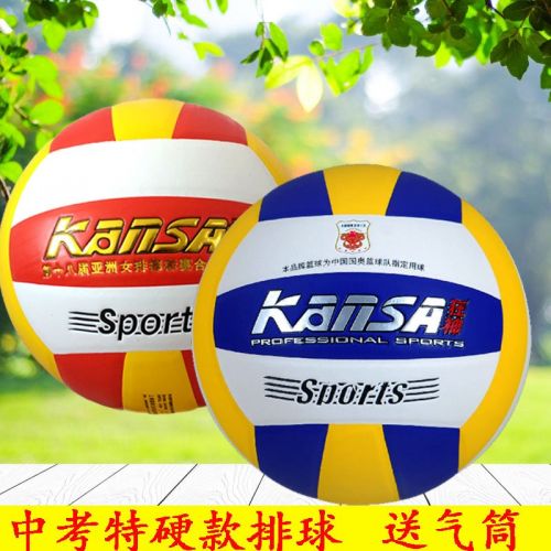 Ballon de volley - Ref 2009823