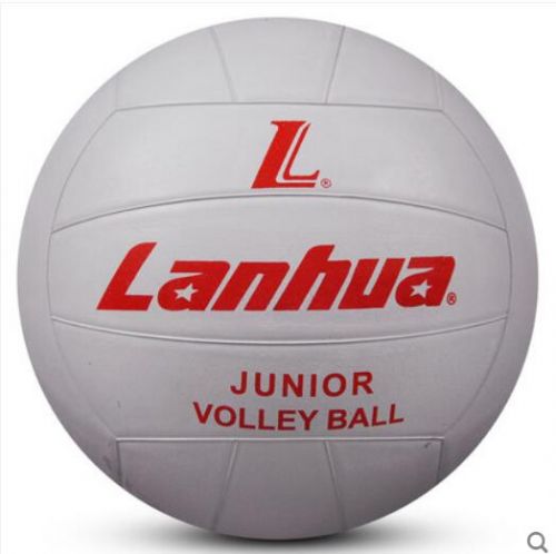 Ballon de volley - Ref 2009855