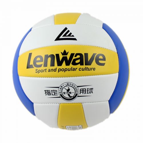Ballon de volley - Ref 2009860
