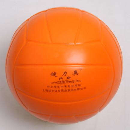 Ballon de volley - Ref 2009880