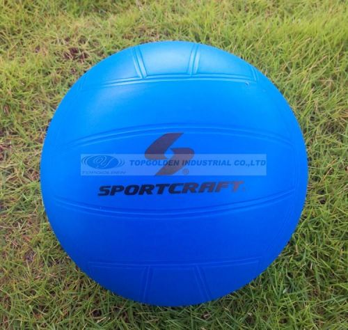 Ballon de volley TOPGOLDEN - Ref 2009894
