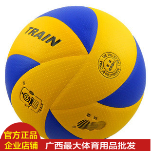 Ballon de volley - Ref 2009898