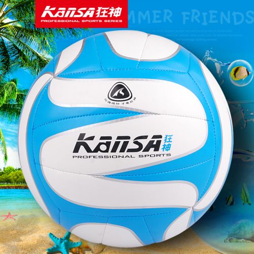 Ballon de volley - Ref 2009924