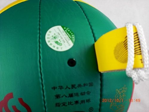 Ballon de volley - Ref 2009938