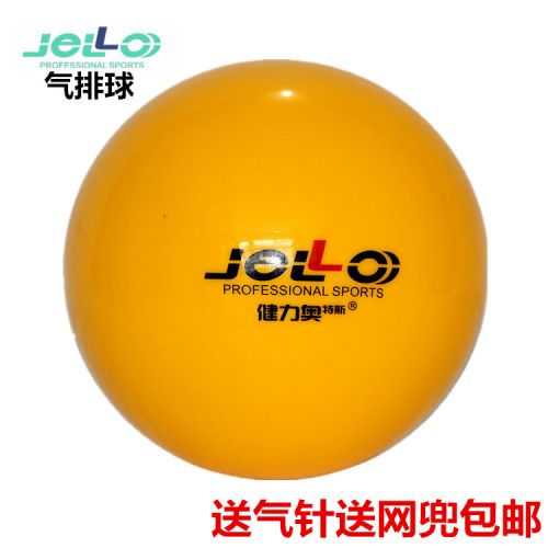 Ballon de volley - Ref 2009940