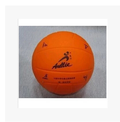 Ballon de volley - Ref 2009990