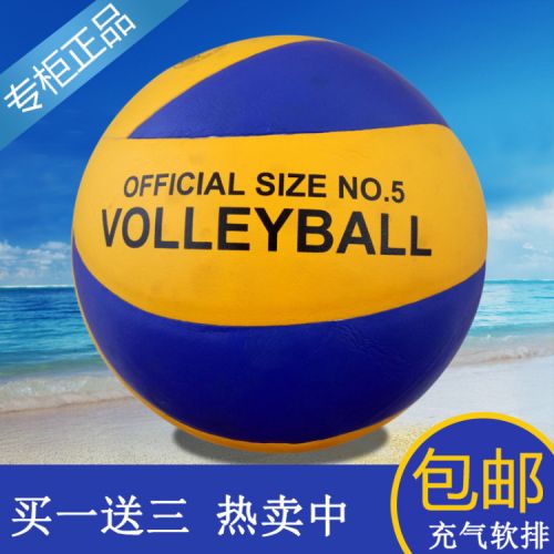 Ballon de volley - Ref 2010041