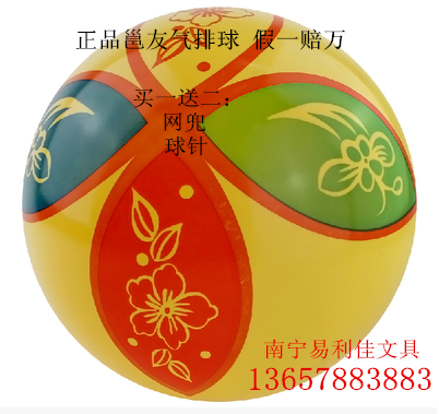 Ballon de volley - Ref 2010050
