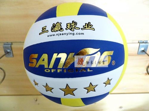 Ballon de volley - Ref 2010055