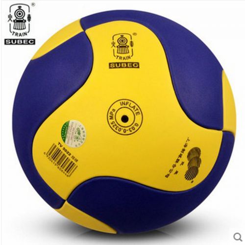 Ballon de volley - Ref 2010058