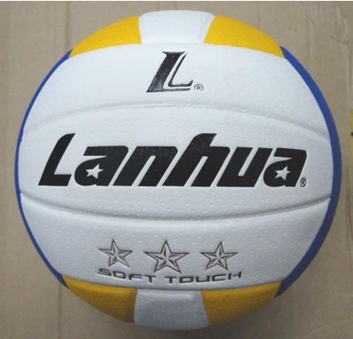 Ballon de volley - Ref 2010063