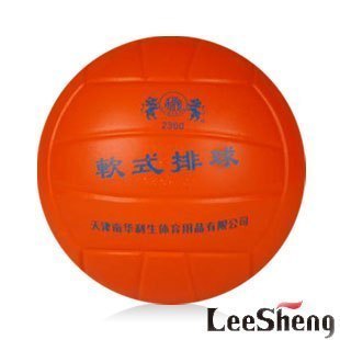 Ballon de volley LEESHENG - Ref 2010075