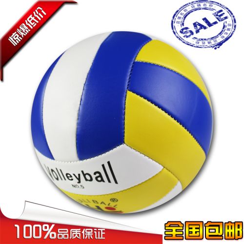 Ballon de volley - Ref 2010085