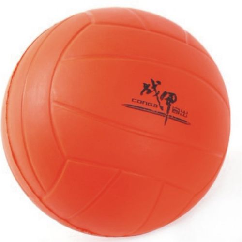 Ballon de volley - Ref 2010086