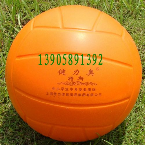 Ballon de volley - Ref 2010094