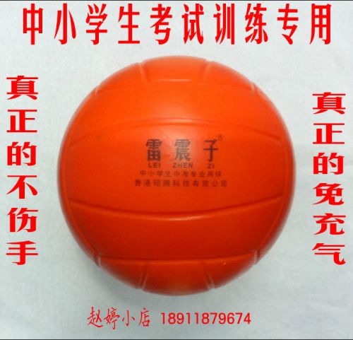 Ballon de volley - Ref 2010095