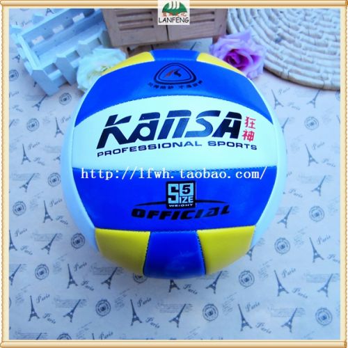 Ballon de volley - Ref 2010102