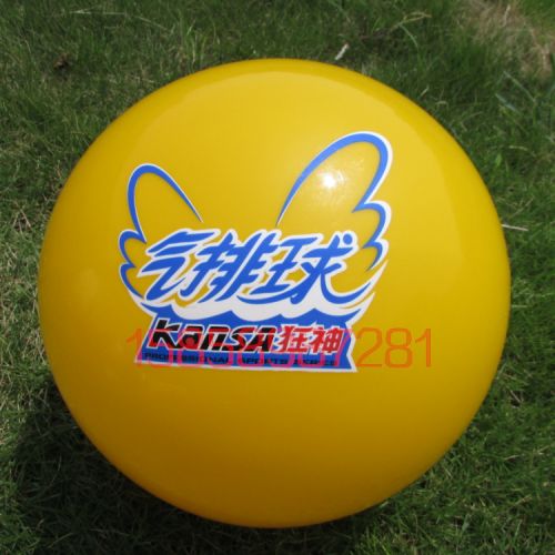 Ballon de volley - Ref 2010107