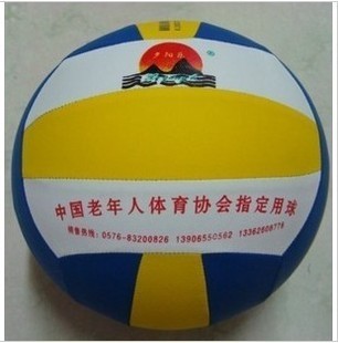 Ballon de volley - Ref 2010113