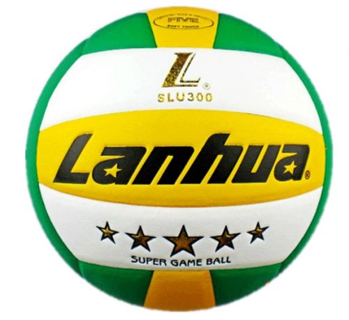 Ballon de volley - Ref 2010119