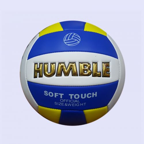 Ballon de volley - Ref 2010129