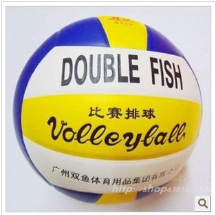 Ballon de volley DOUBLE FISH - Ref 2010135