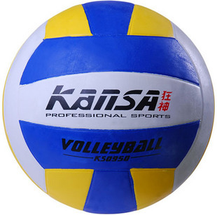 Ballon de volley - Ref 2010146