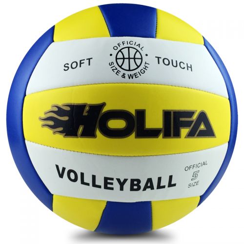 Ballon de volley - Ref 2010148