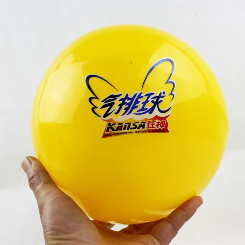 Ballon de volley - Ref 2010154