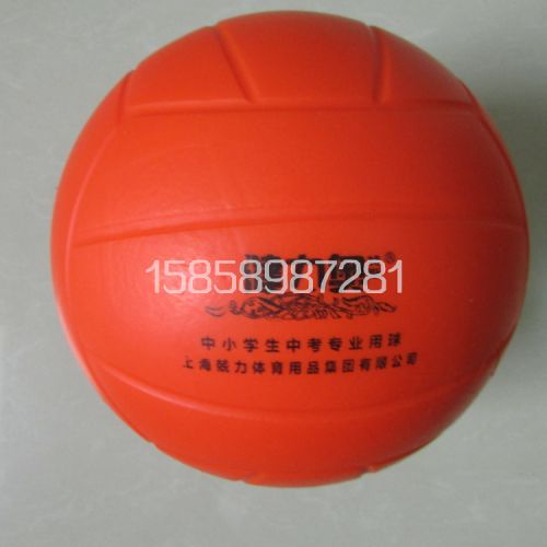 Ballon de volley - Ref 2010157