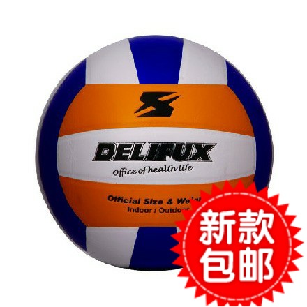 Ballon de volley - Ref 2010160