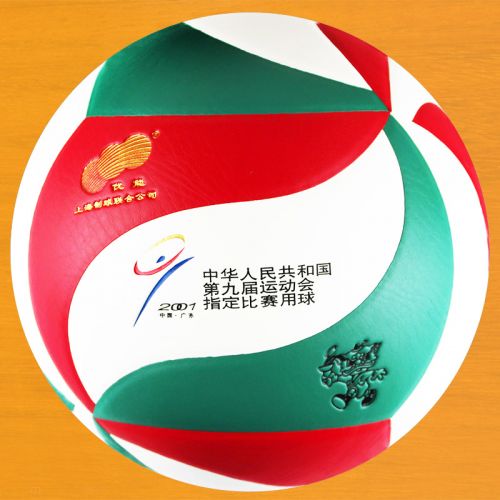 Ballon de volley - Ref 2010161
