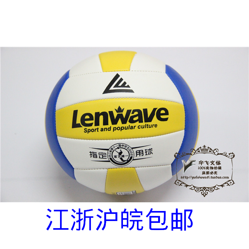 Ballon de volley - Ref 2010165