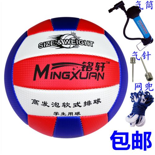 Ballon de volley - Ref 2010170