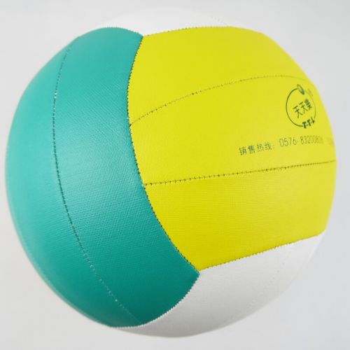 Ballon de volley - Ref 2010185