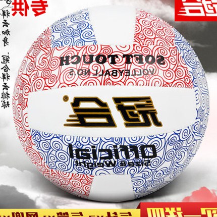 Ballon de volley - Ref 2010187