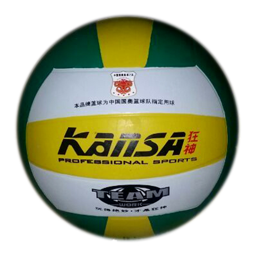 Ballon de volley - Ref 2010190