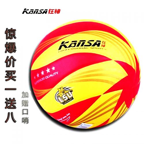 Ballon de volley - Ref 2010193