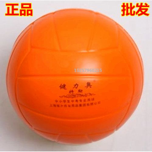 Ballon de volley - Ref 2010205