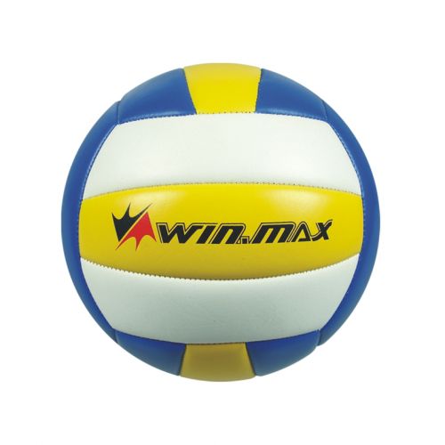 Ballon de volley - Ref 2010215