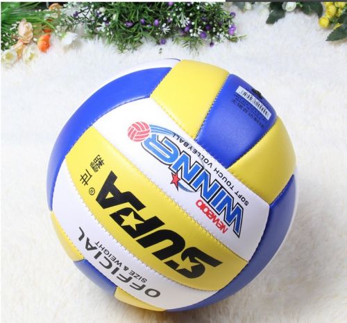 Ballon de volley - Ref 2010224