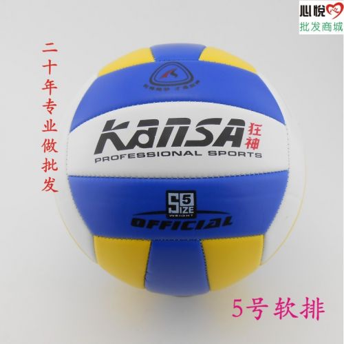 Ballon de volley - Ref 2010233