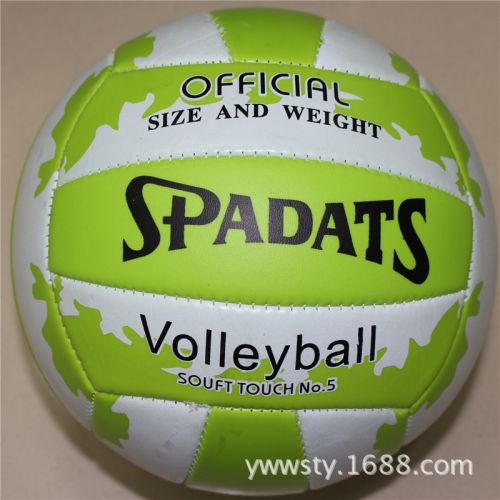 Ballon de volley - Ref 2010260