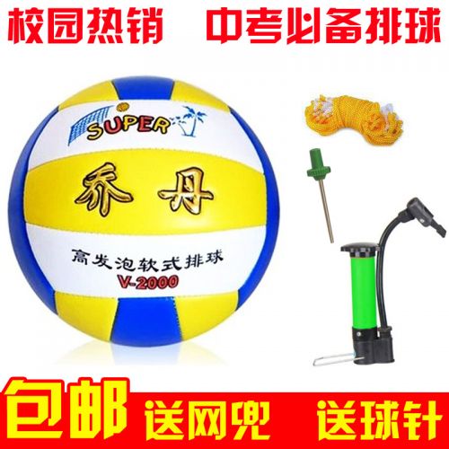 Ballon de volley - Ref 2010265
