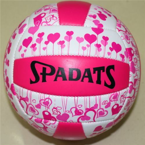 Ballon de volley - Ref 2010290