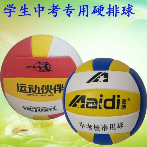 Ballon de volley - Ref 2010300