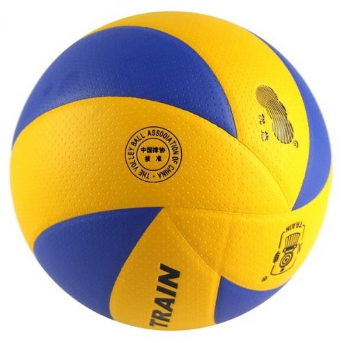 Ballon de volley - Ref 2010301