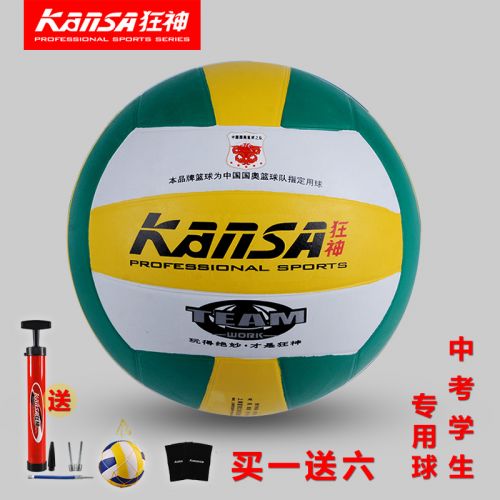 Ballon de volley - Ref 2010317