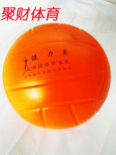 Ballon de volley - Ref 2010318