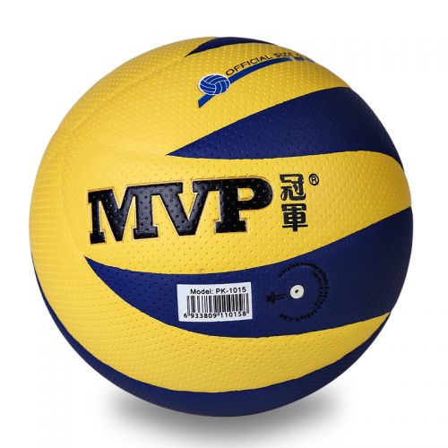 Ballon de volley - Ref 2010321